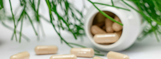 Dietary Supplements