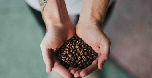 Hands holding coffee beans