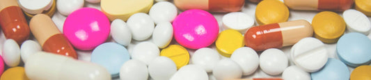 Mushroom supplements for gut health