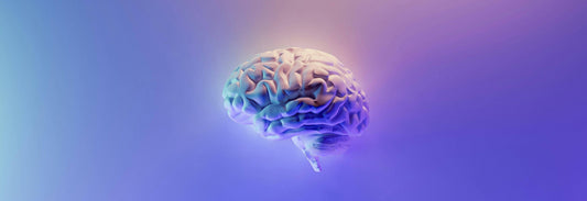 Brain with a blue background