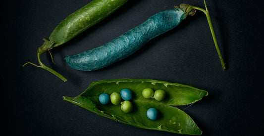 Green beans as dietary supplements