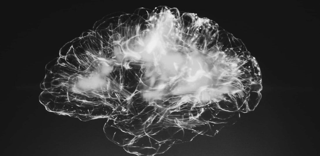 Best memory supplement effect on a brain