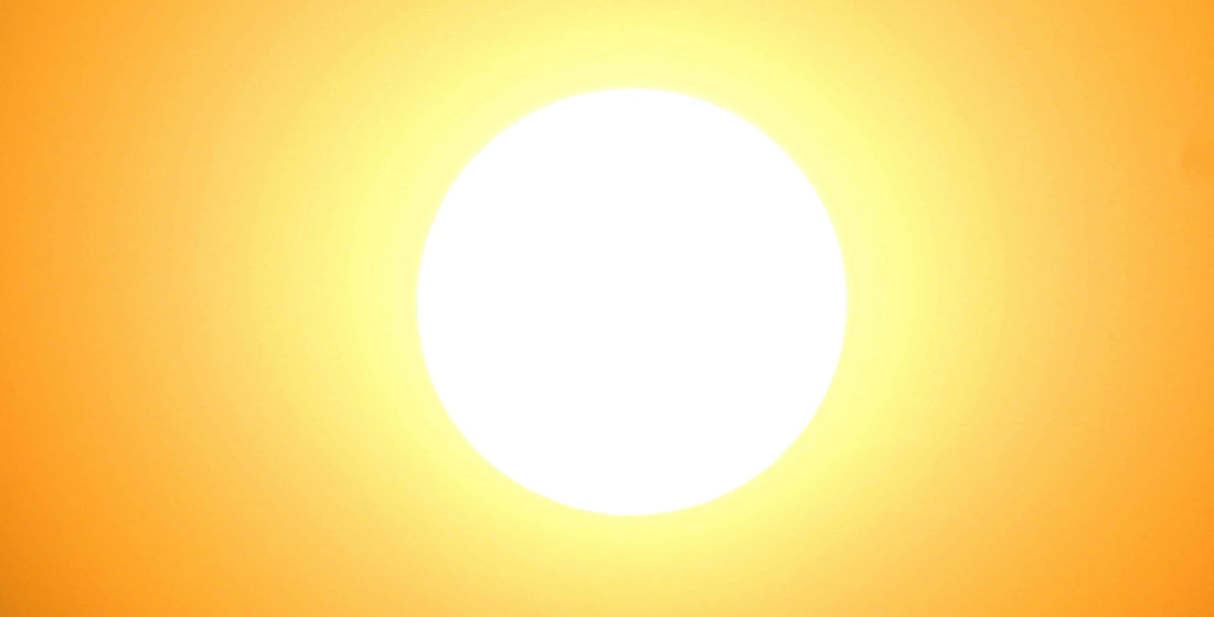 The Sun